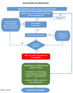 Evaluation of Hematuria