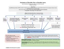 Evaluation of Shoulder Pain or Shoulder Injury